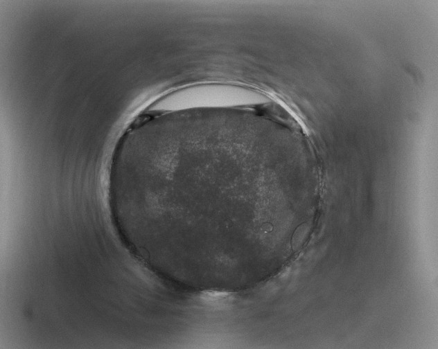 X0000116870055201001051452