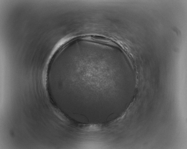 X0000116870056201001051452