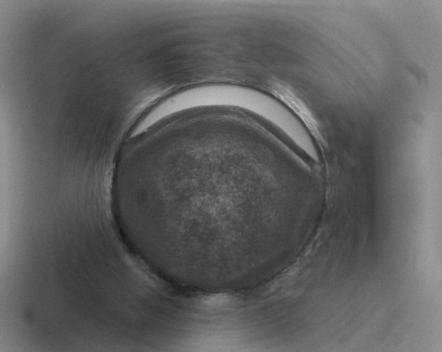 X0000116870058201001051452