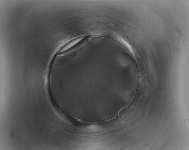 X0000116870059201001051452