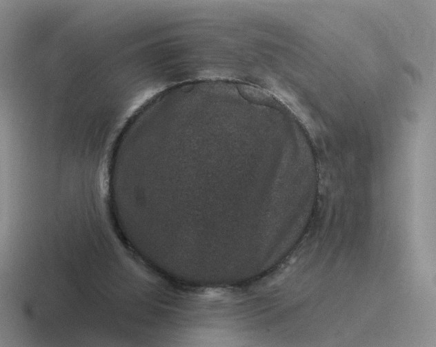 X0000116870060201001051452