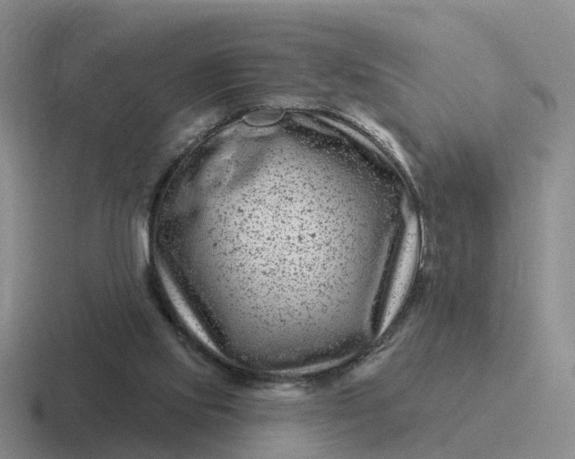 X0000116870061201001051452