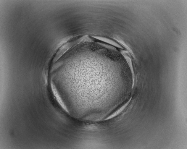 X0000116870062201001051452