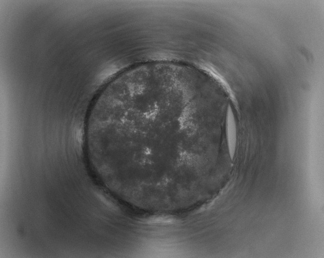 X0000116870063201001051452