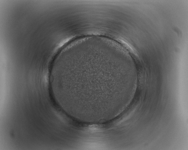 X0000116870064201001051452