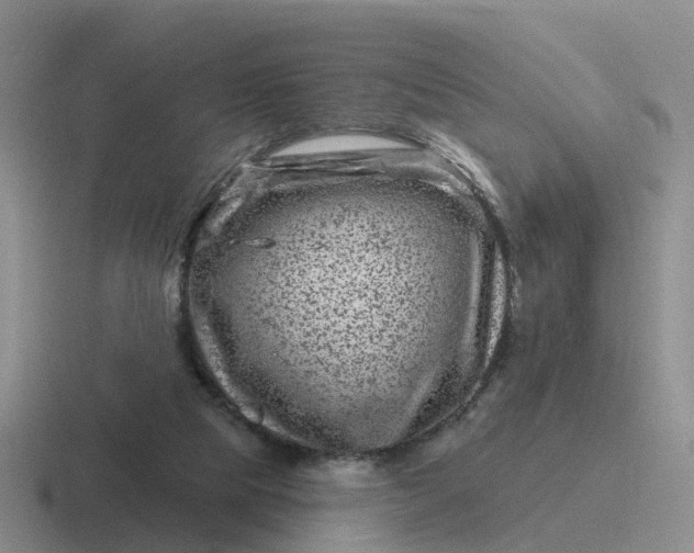 X0000116870065201001051452