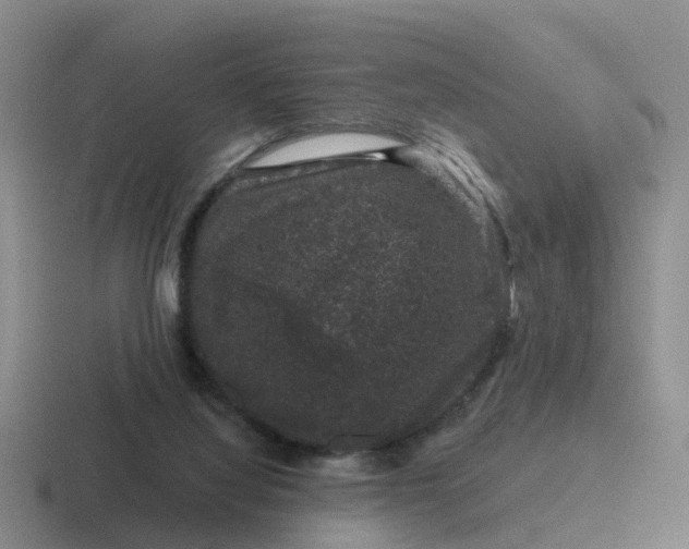 X0000116870068201001051452