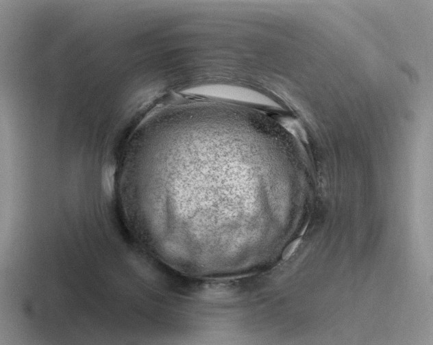 X0000116870070201001051452