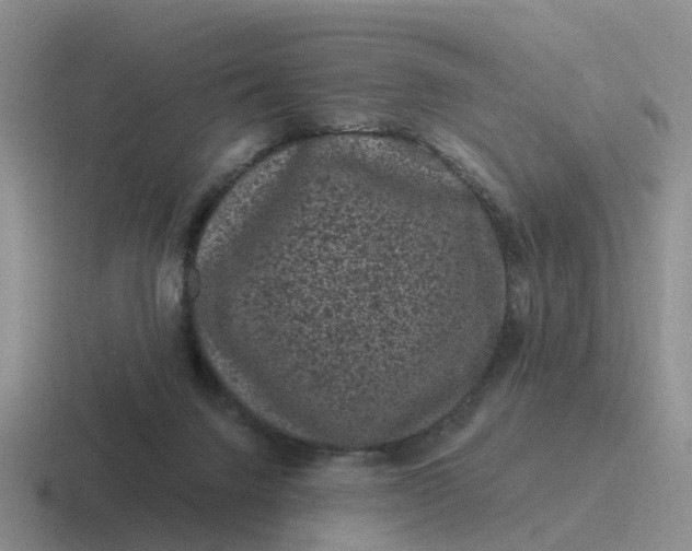 X0000116870072201001051452