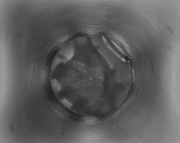 X0000116870073201001051452