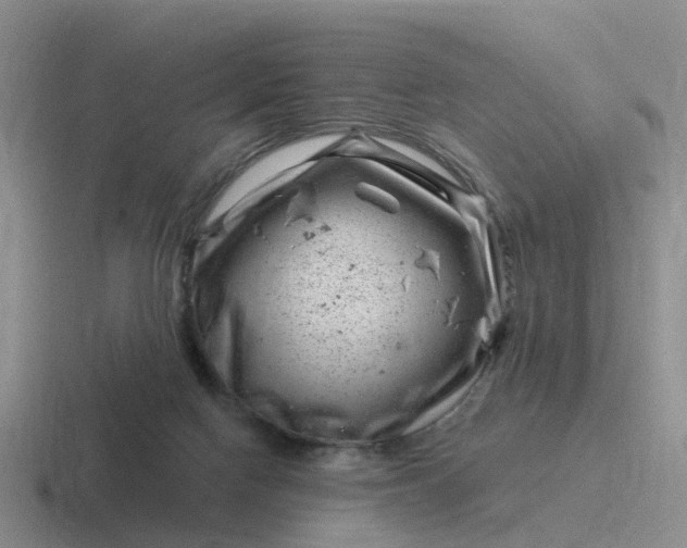 X0000116870074201001051452