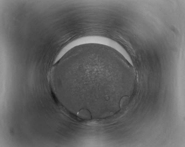 X0000116870075201001051453