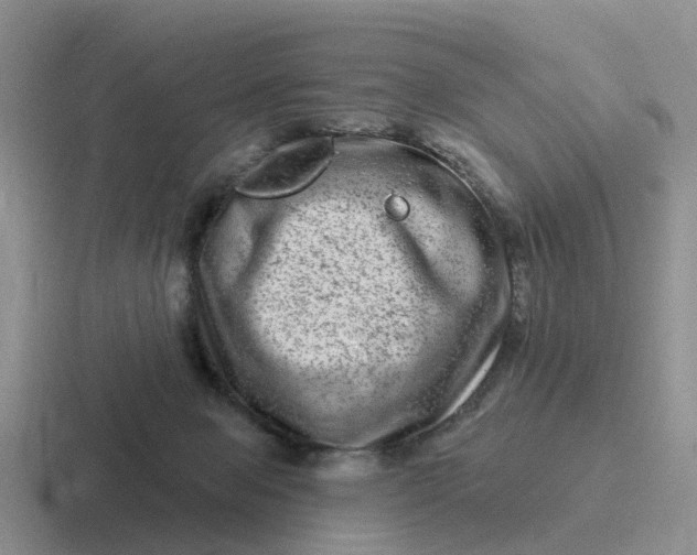 X0000116870077201001051453