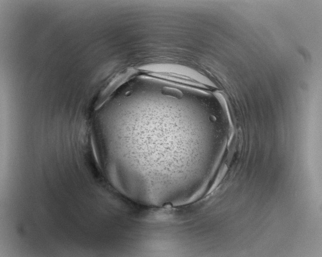 X0000116870078201001051453