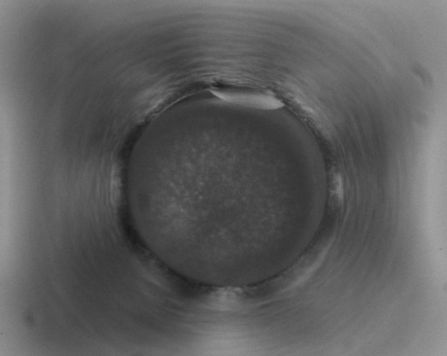 X0000116870080201001051453