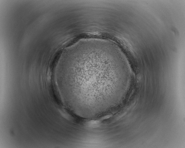 X0000116870081201001051453