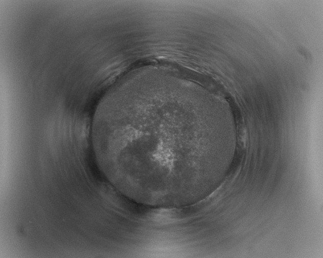 X0000116870082201001051453