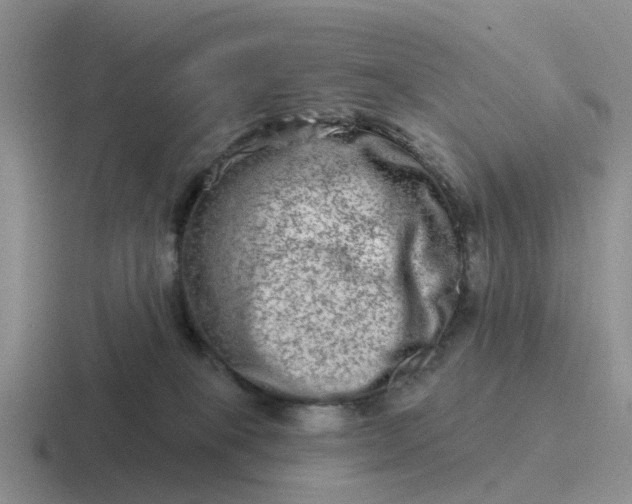 X0000116870085201001051453