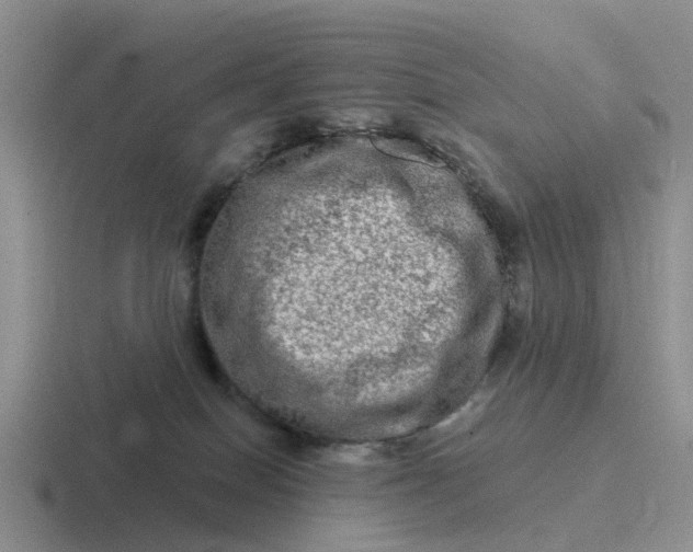 X0000116870086201001051453