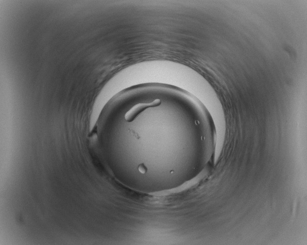 X0000116870088201001051453