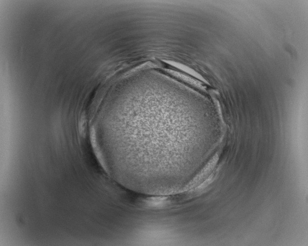 X0000116870090201001051453