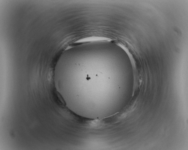 X0000116870092201001051453