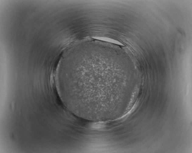 X0000116870094201001051453