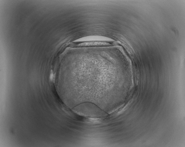 X0000116870095201001051453