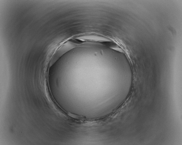 X0000116870097201001051452