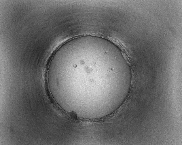 X0000116870098201001051452