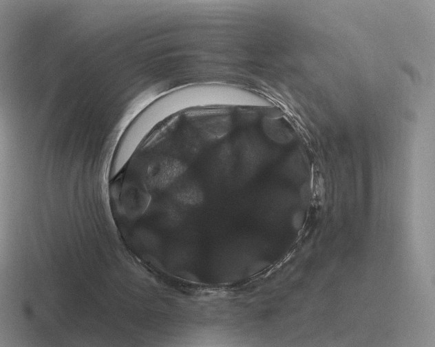 X0000116870099201001051452