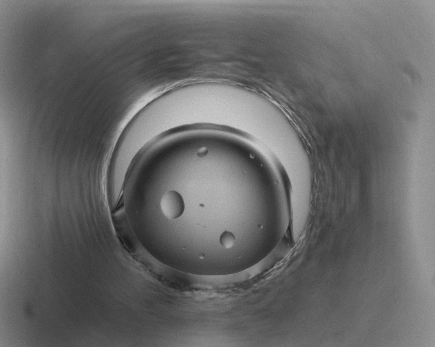 X0000116870100201001051452