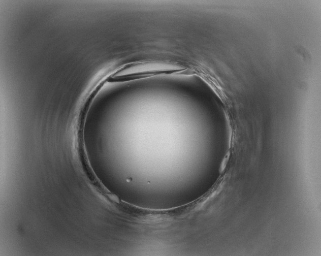 X0000116870101201001051452