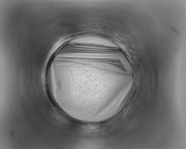 X0000116870102201001051452