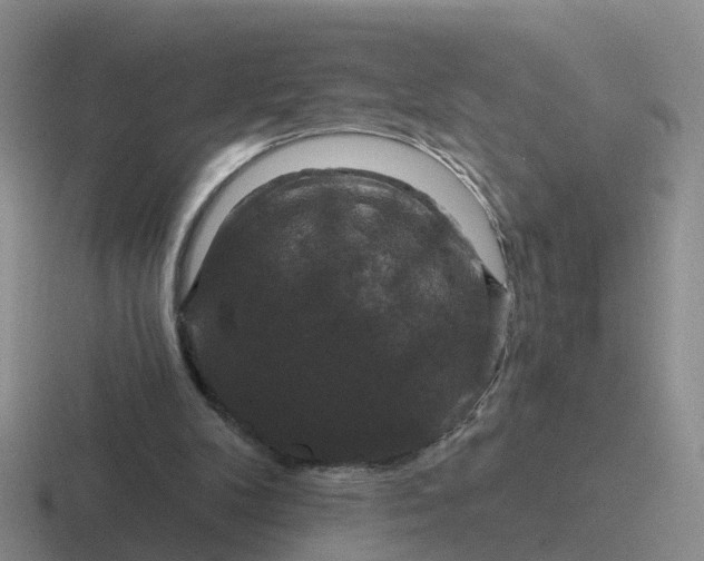 X0000116870104201001051452