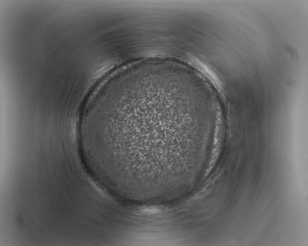 X0000116870105201001051452