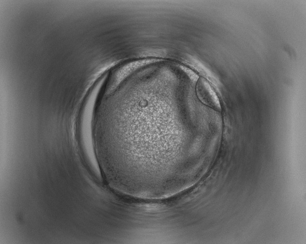 X0000116870107201001051452