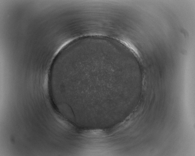 X0000116870108201001051452