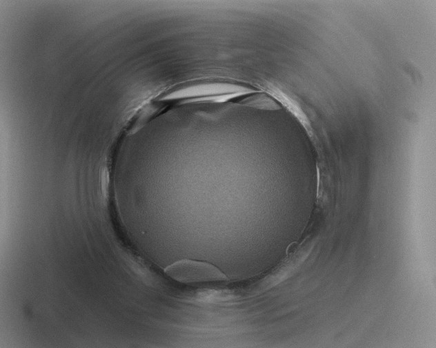 X0000116870109201001051452