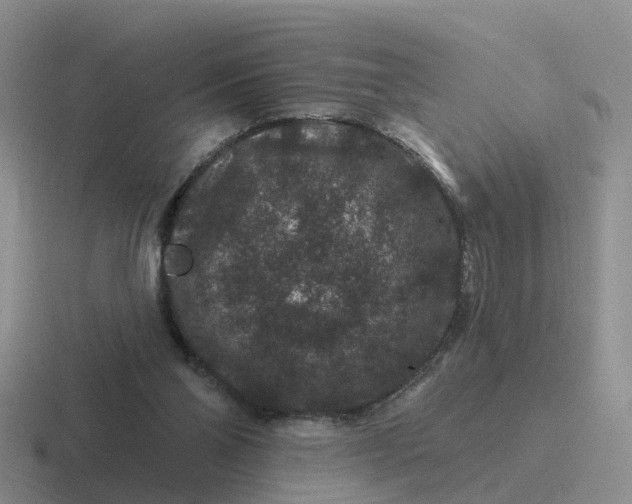 X0000116870110201001051452