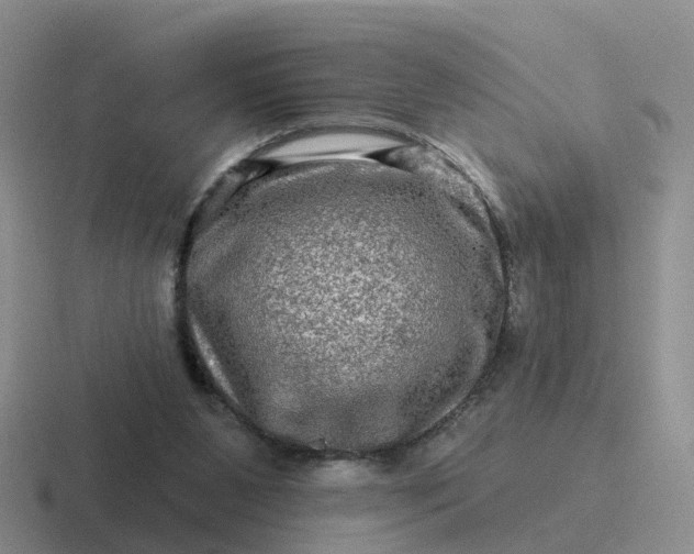 X0000116870111201001051452