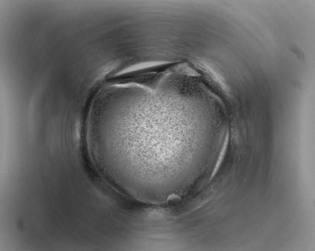 X0000116870115201001051452