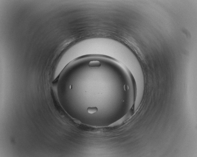 X0000116870116201001051452