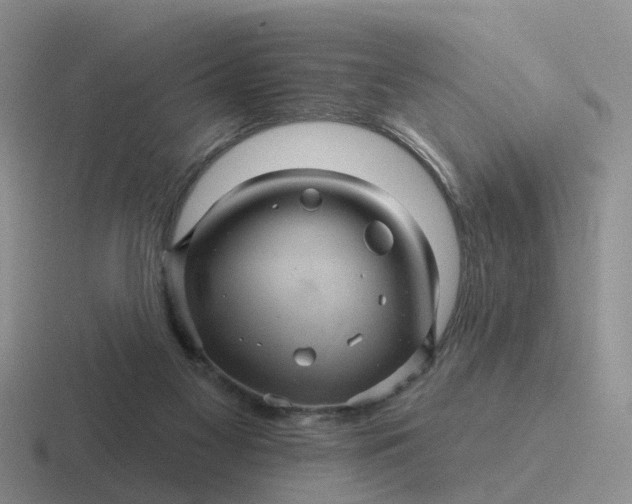 X0000116870117201001051452