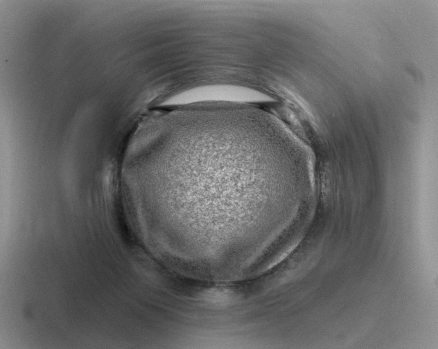 X0000116870119201001051452