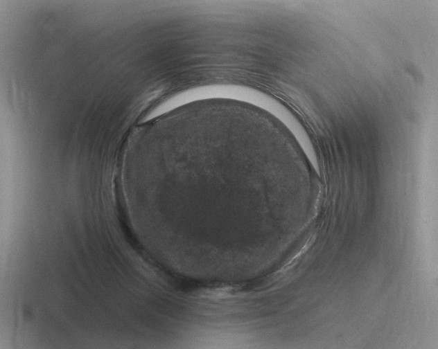 X0000116870120201001051452