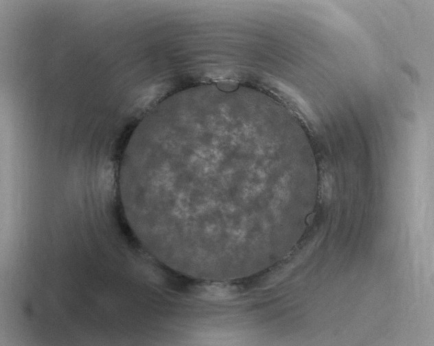 X0000116870121201001051452