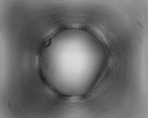 X0000116870122201001051452