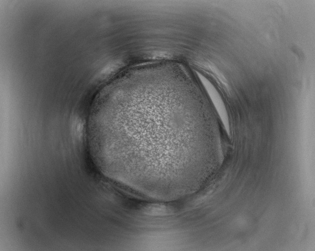 X0000116870123201001051452