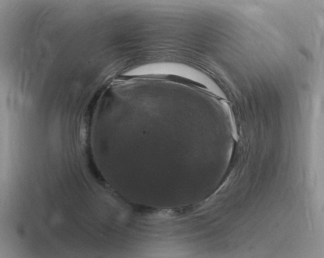 X0000116870124201001051452